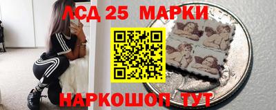 шишки Нарткала
