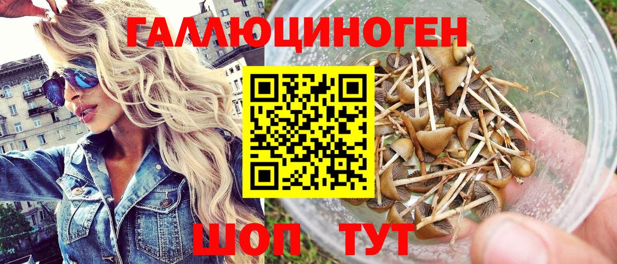 Галлюциногенные грибы Cubensis  Галлюциногенные грибы Magic Shrooms  Вход с VPN  Шелехов 